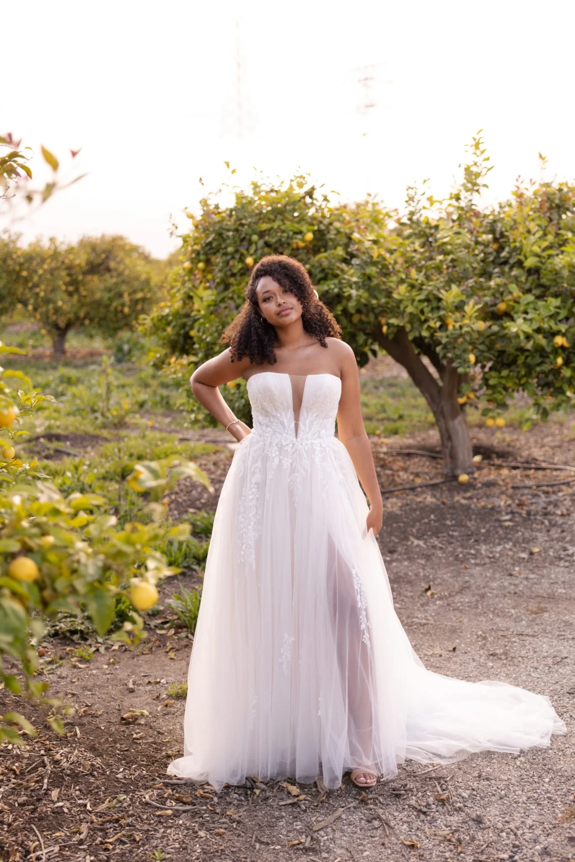 S23-SY-7825-INF15-Hot-Image-3600x5400-6a776a9-scaled