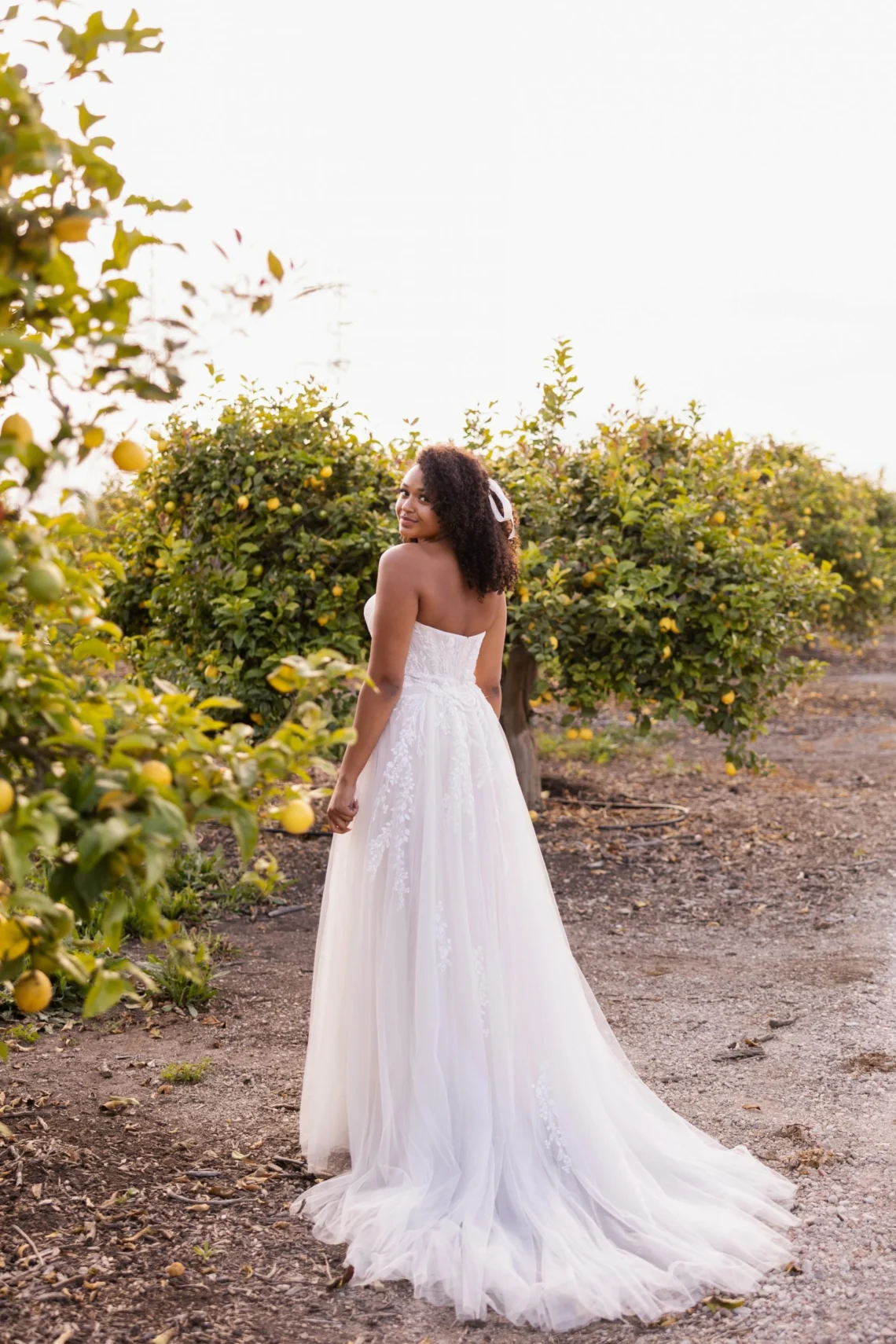 S23-SY-7825-INF36-3600x5401-6a776a9-scaled