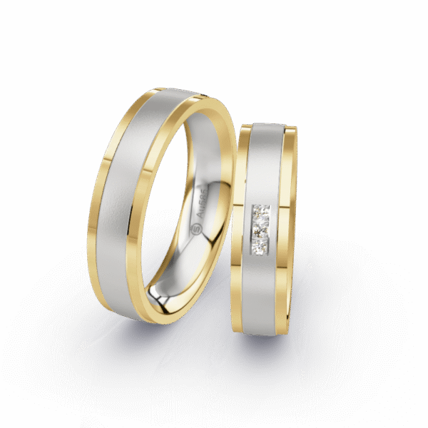 Ring SW-002