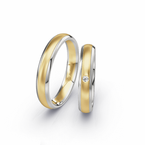 Ring SW-011
