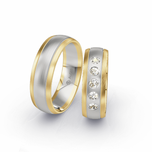Ring SW-012